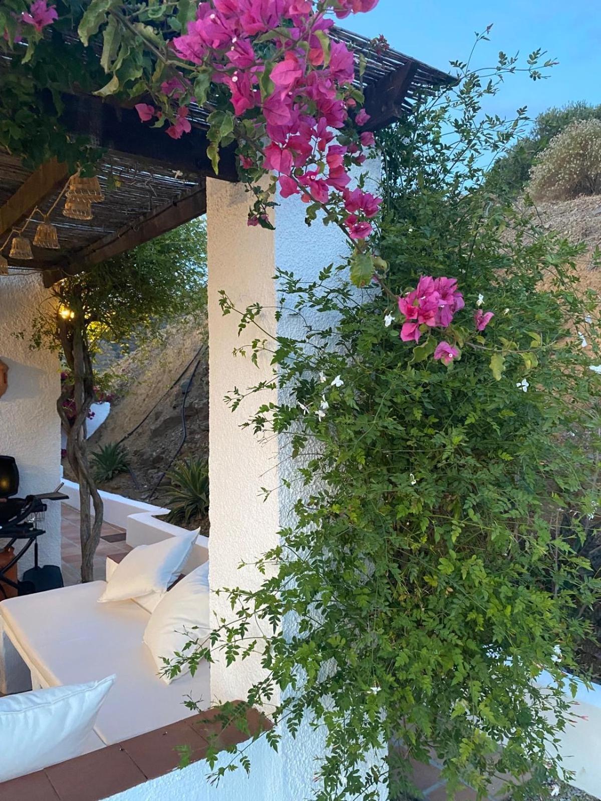 Finca Angelita Torrox Dış mekan fotoğraf
