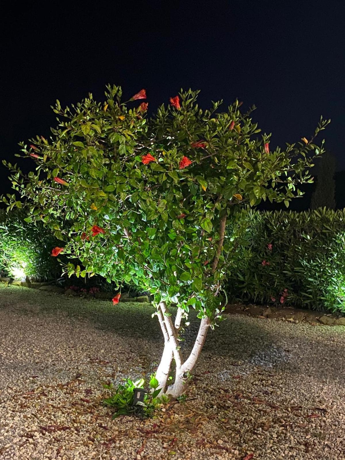 Finca Angelita Torrox Dış mekan fotoğraf