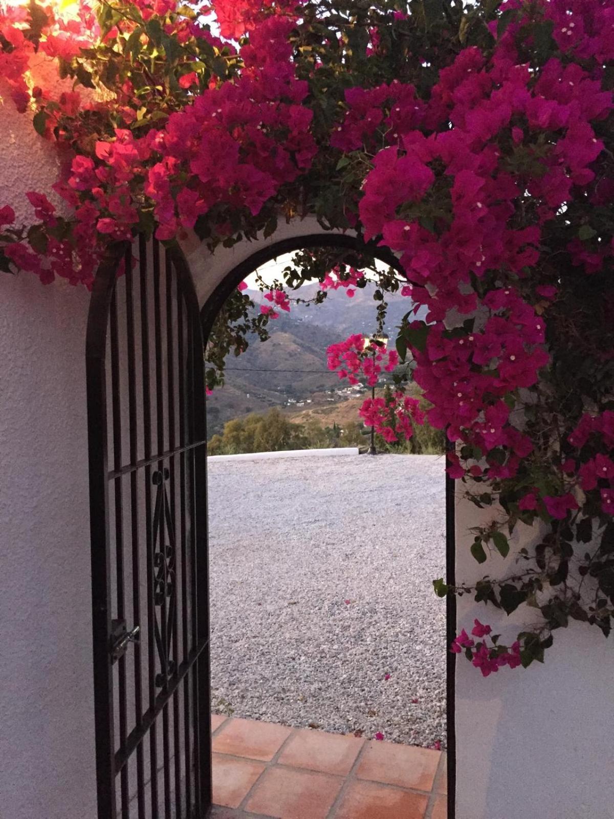 Finca Angelita Torrox Dış mekan fotoğraf