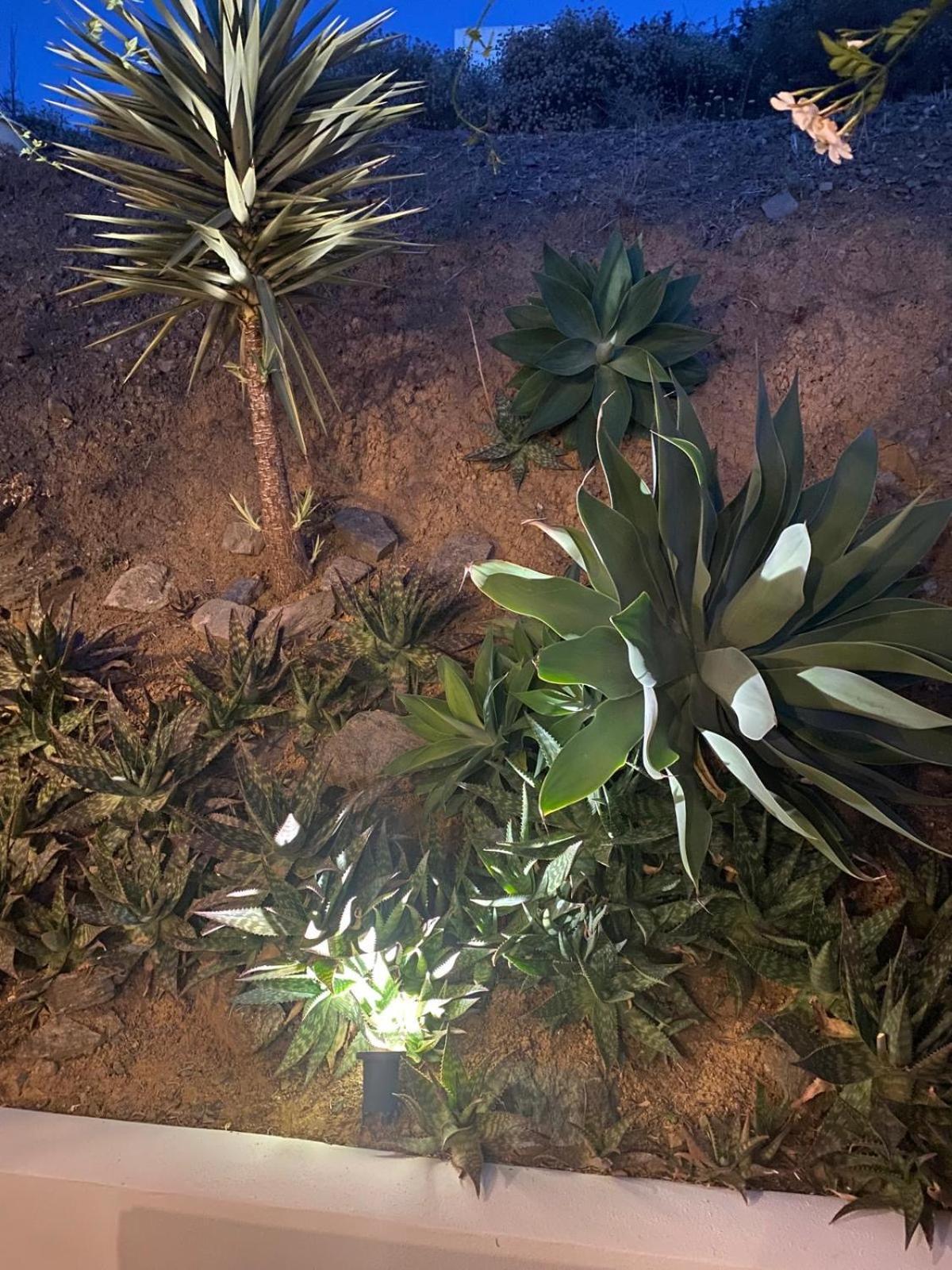 Finca Angelita Torrox Dış mekan fotoğraf